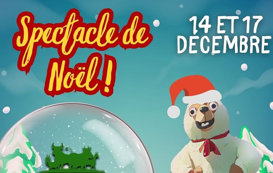 Spectacle de Noël