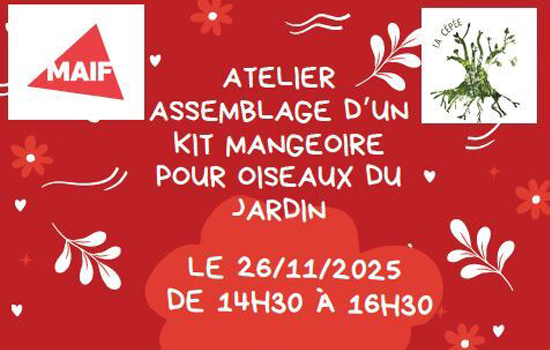 Atelier : Fabrique une Mangeoire pour les Oiseaux du Jardin