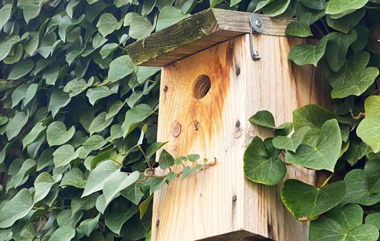 On prépare le printemps