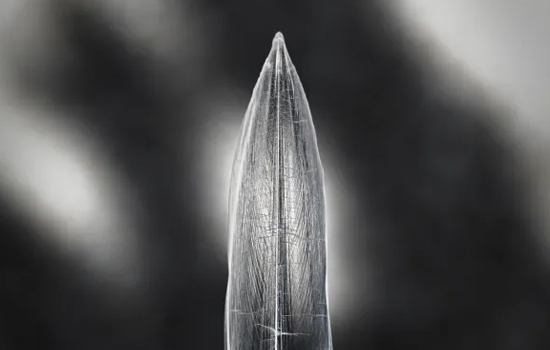 Exposition : La Furie et la foi