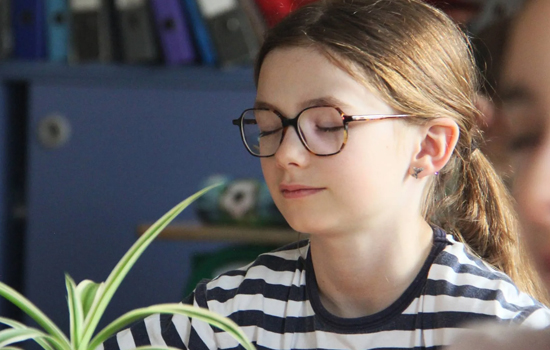 Atelier : Animaux du monde