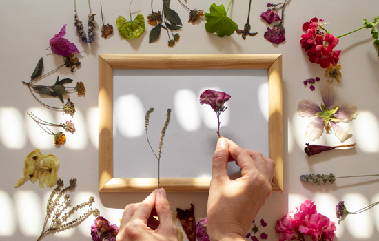 Atelier créatif : Cadre mural végétal