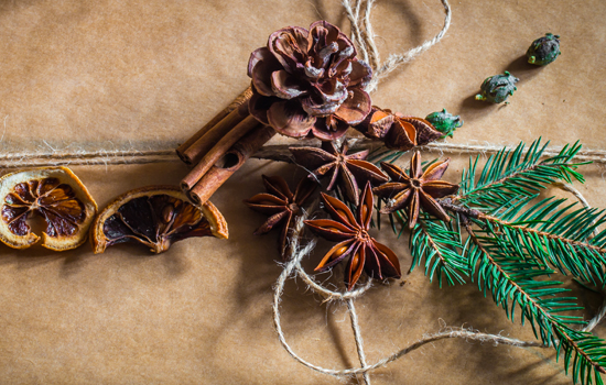 Atelier créatif : Décoration naturelle de Noël