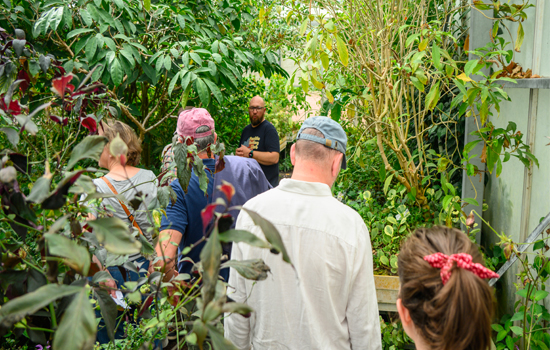 Visite en soirée des serres des Jardins Suspendus
