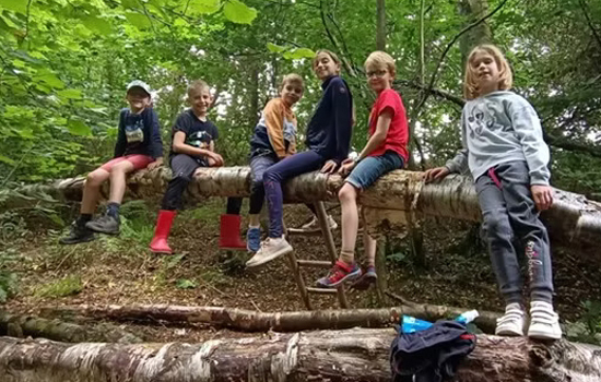 Stage nature : Aventure nature