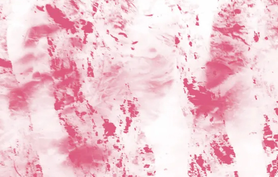 La Criée des Poètes