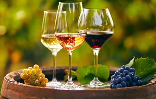 Atelier : Dans les Coulisses du Vin - Secrets de vinification