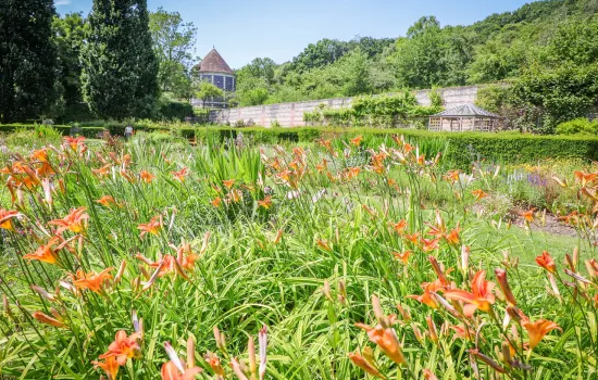Sortie nature : Les quatre saisons du Parc de Rouelles