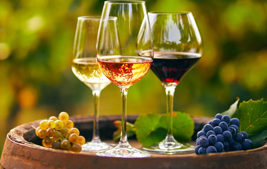 Atelier : À la découverte des vins du Languedoc