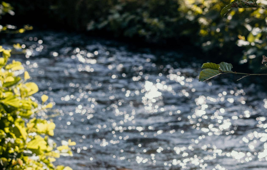 Sortie nature : Contes au fil de l'eau
