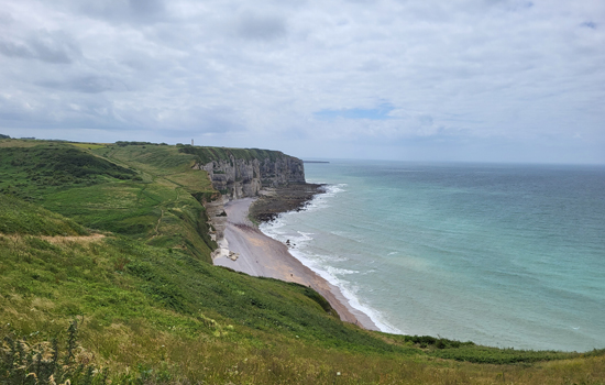 Sortie nature : Connexion au vivant au son du tambour