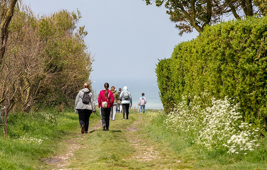 Rallye des familles : Nature, chaussures et méninges