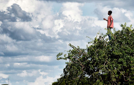Printemps des poètes