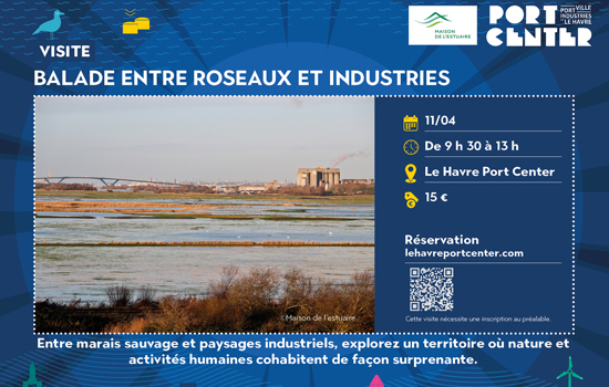 Entre roseaux et industries