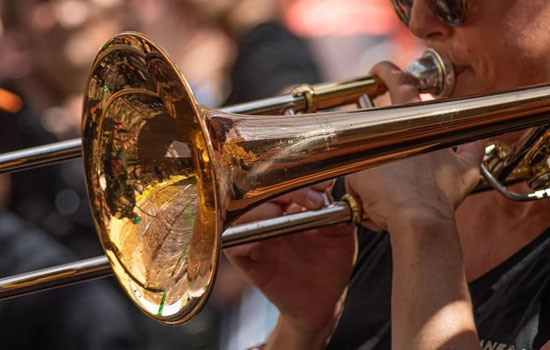Concert d'ouverture : Anima (Ex) Musica