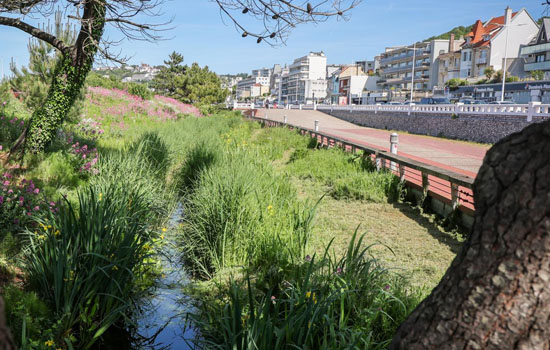Visite guidée : Direction la plage !