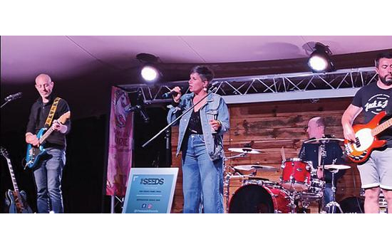 Concert : The Seeds