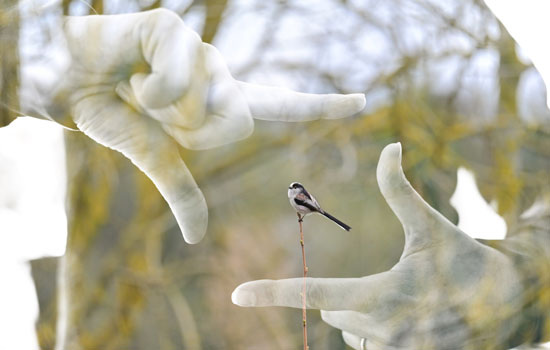 365 jours – Photographies de Sébastien Boullier