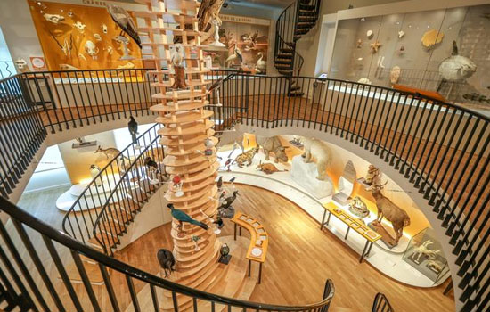 Muséum d'Histoire Naturelle