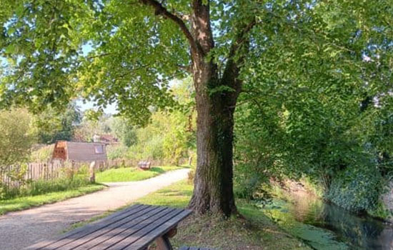 Visite guidée : L'histoire des jardins au gré des époques