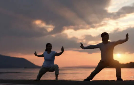 Tai chi, Qi Gong & méditation vibratoire