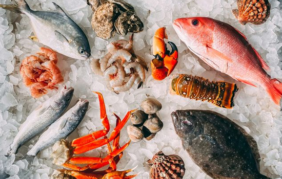 Atelier : Cuisine de bord de mer