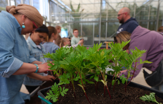 Atelier participatif : Le fleurissement mécanisé