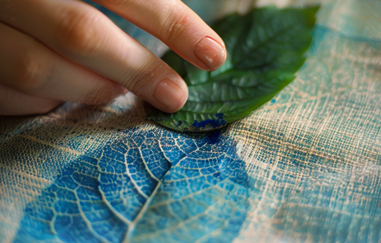 Atelier famille : Cyanotype pour enfants