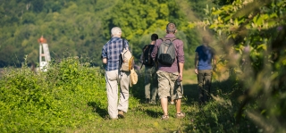 Sentier d'interprétation du Marais de Caudebec-en-Caux