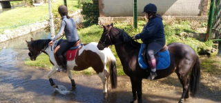 Ecurie des Grandes Plaines