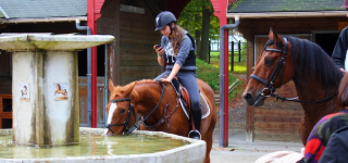 Les Écuries du Marottin