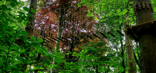 Angiens Accrobranche Aventures