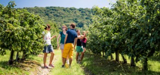 La Route des Fruits
