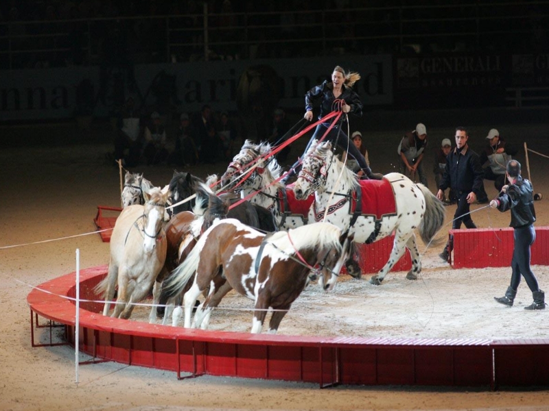 Vargas Show équestre - photo 3