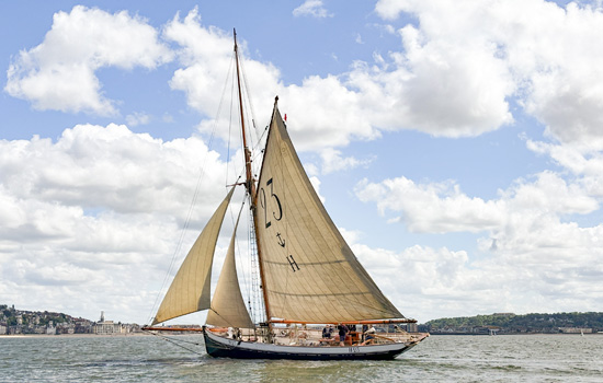 Vignette - Marie-Fernand - ©Associationn Hirondelle de la Manche