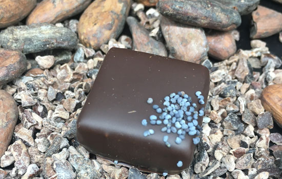Vignette - Hautot Chocolatier