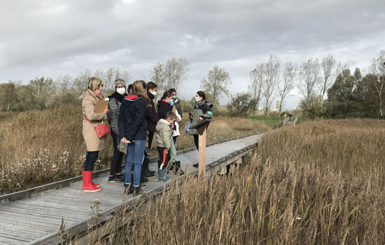 Sorties et activités nature à la découverte de la Réserve naturelle de l’estuaire de la Seine