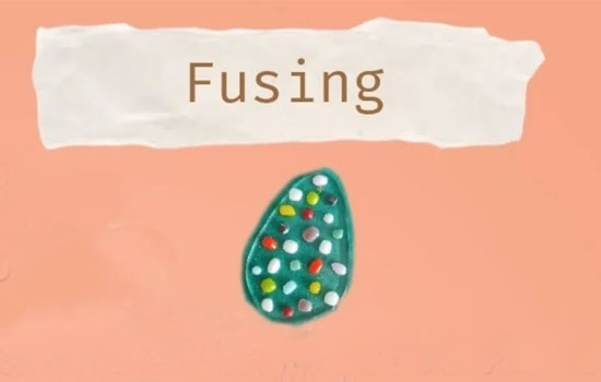 Atelier créatif : Fusing