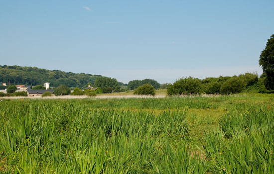 Vignette - Domaine du Colmoulin © LHET