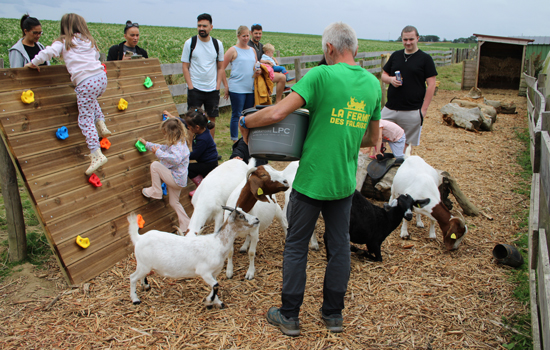 La Ferme des Falaises