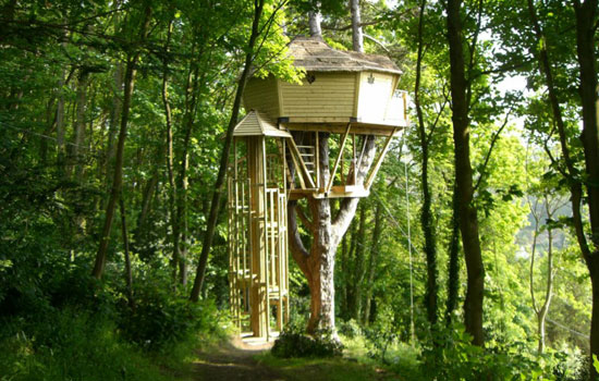 Vignette - Sherwood Tree - Mme Gores