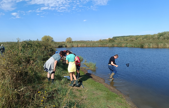 Sorties et activités nature à la découverte de la Réserve naturelle de l’estuaire de la Seine