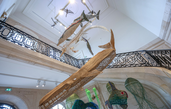 Muséum d'Histoire Naturelle