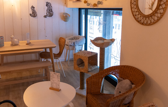Vignette-Salon des P'tea Chats ©Lorie Jumeline