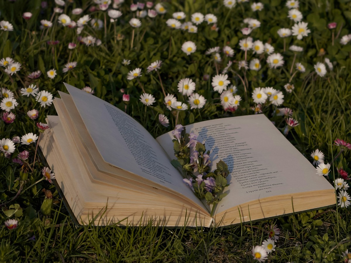 Book club