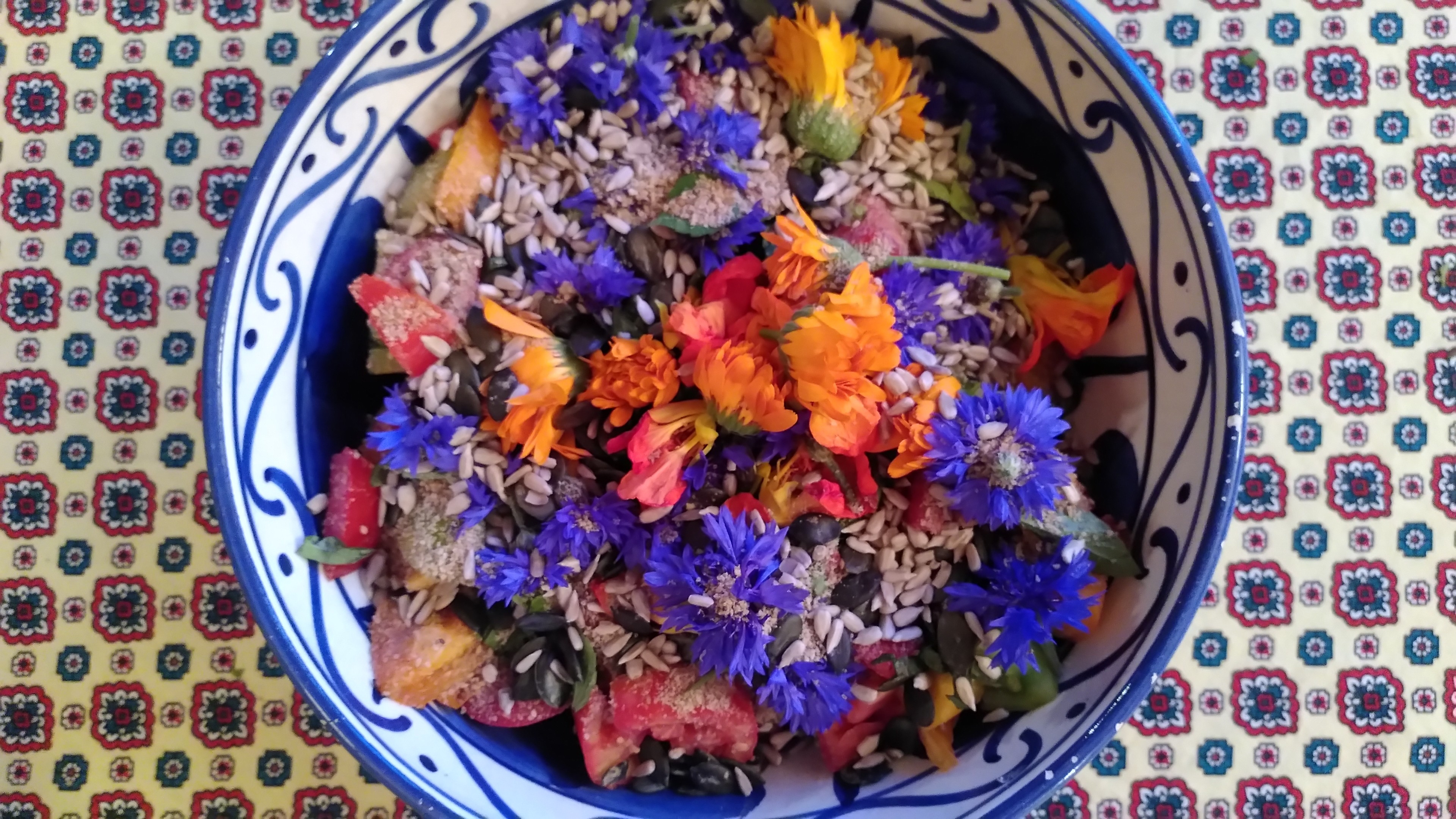 Balade cueillette et cuisine de plantes sauvages comestibles
