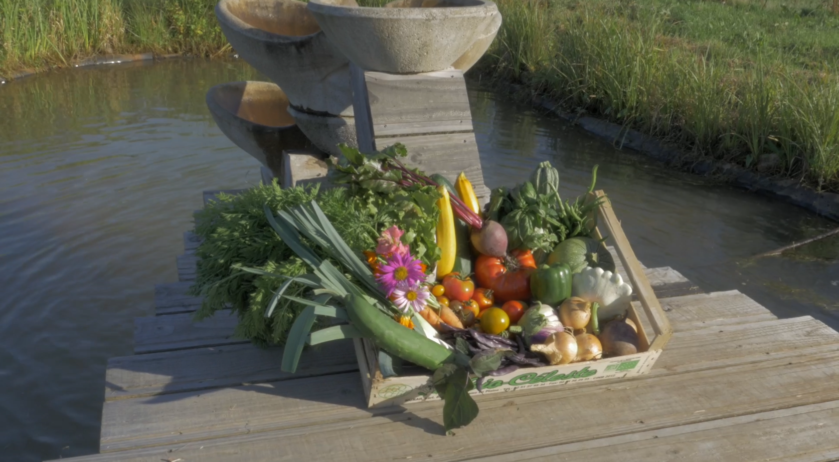Journée découverte sur la santé par l'alimentation 