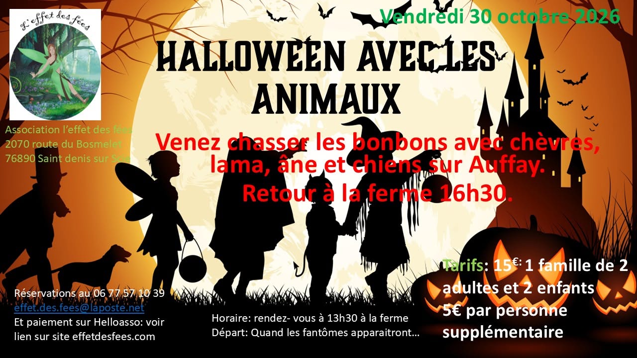 Halloween avec les animaux