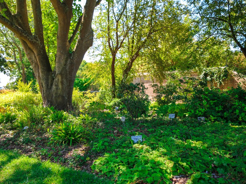 Les Jardins Suspendus, LE HAVRE