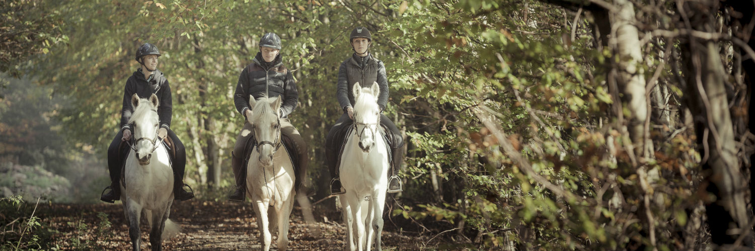 Circuit des 5 Plaines à cheval